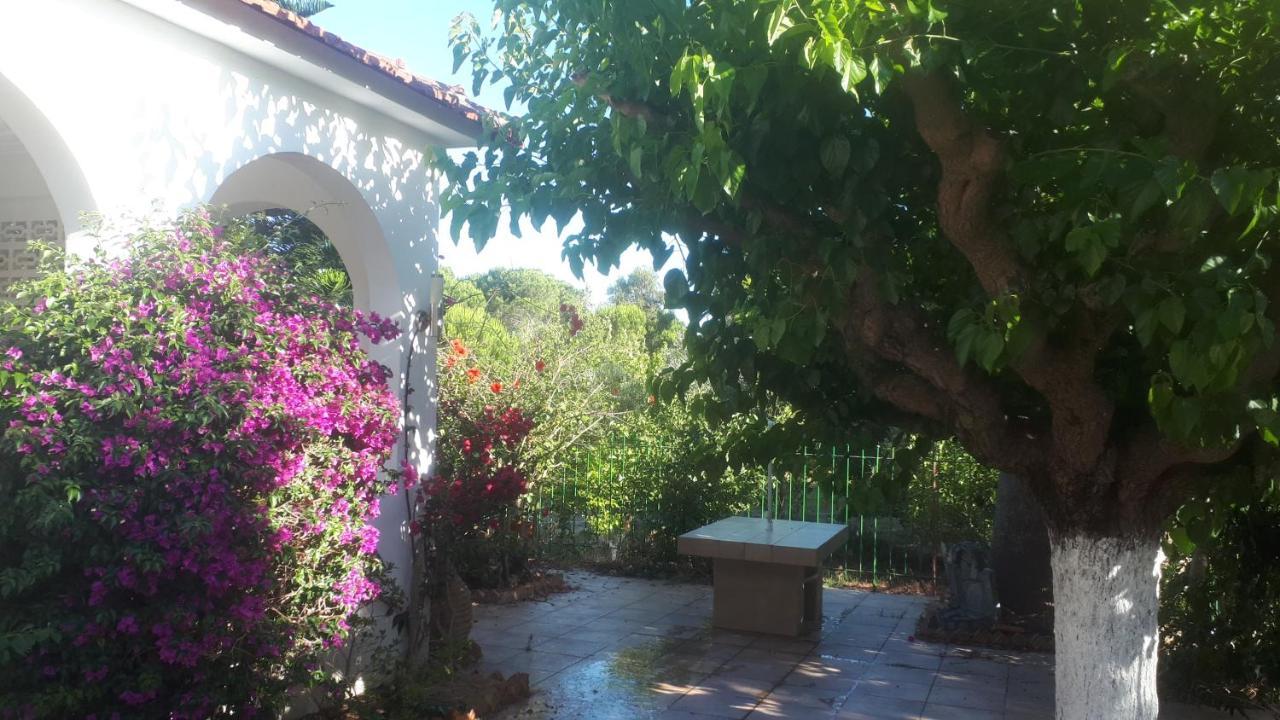 Villa Dunes 350M From The Sandy Beach คาโลเกรีย ภายนอก รูปภาพ